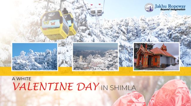 White Valentine’s Day in Shimla