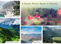 5 Scenic Picnic Spots in Shimla