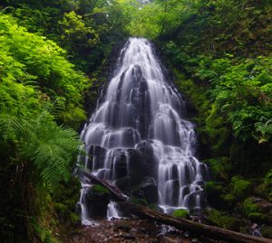  Chadwick Falls