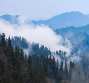 Fagu The Untouched Gem